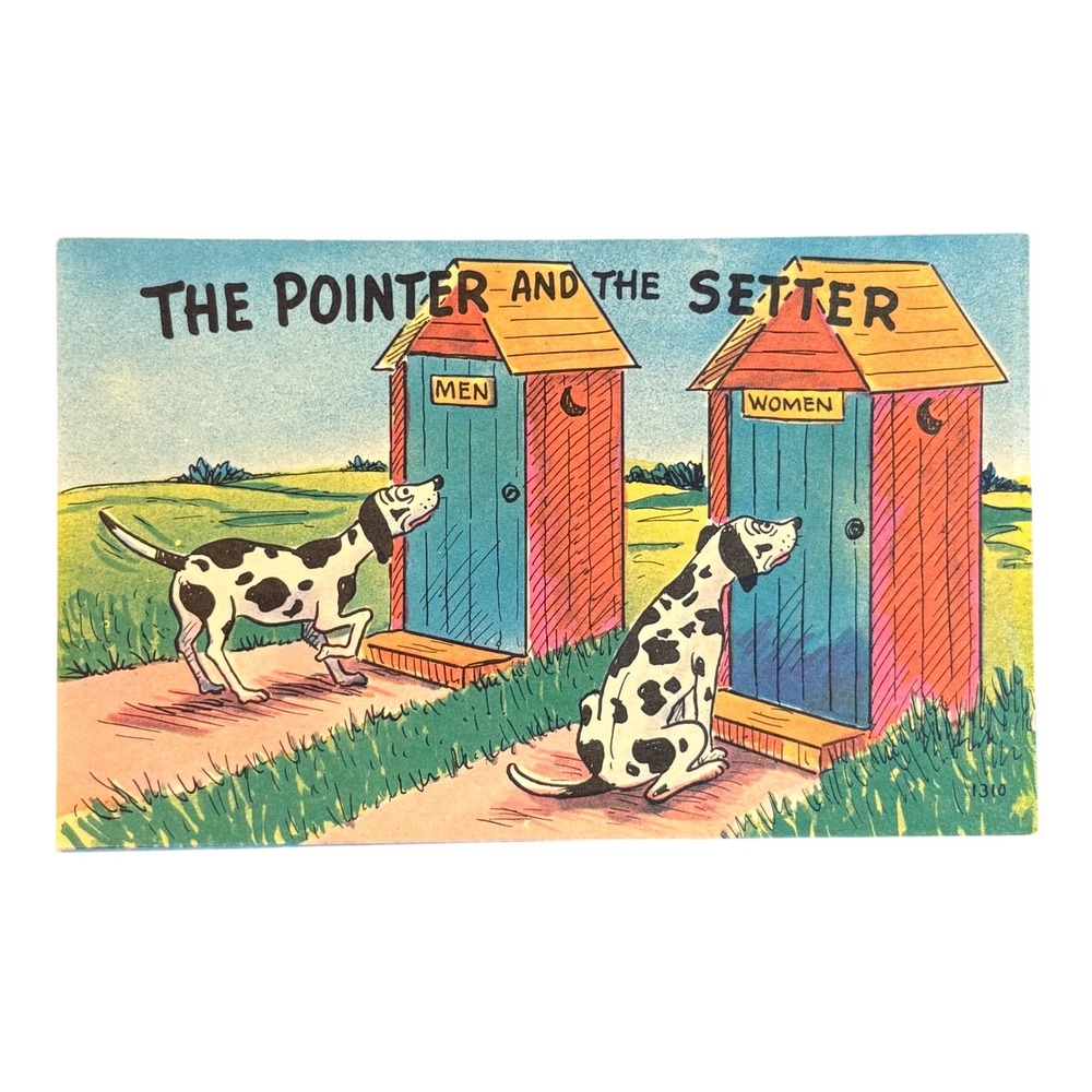 Colourpicture The Pointer and The Setter Vintage 1950 Postcard Multi Comic Humor